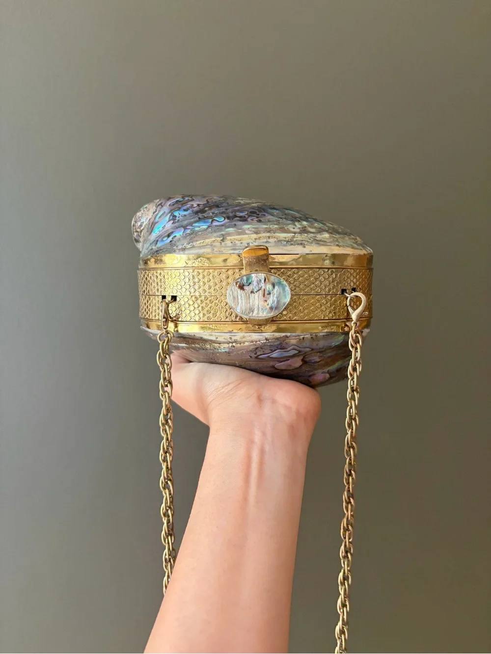 Abalone Shell Clutch Wristlet — Iridescent Blue-Green Metallic